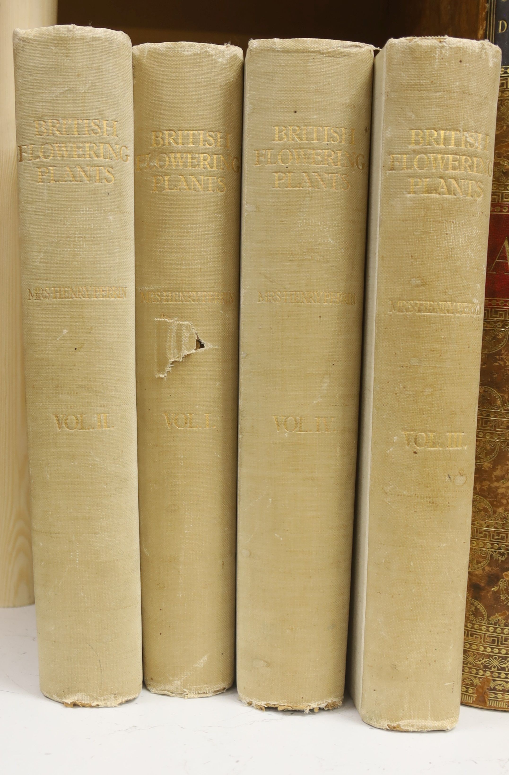 Boulger, George S. - British Flowering Plants, illustrated by Ida Southwell Perrin, one of 1000, 4 vols, qto, ivory white buckram, with 300 coloured plates, Bernard Quaritch, London, 1914